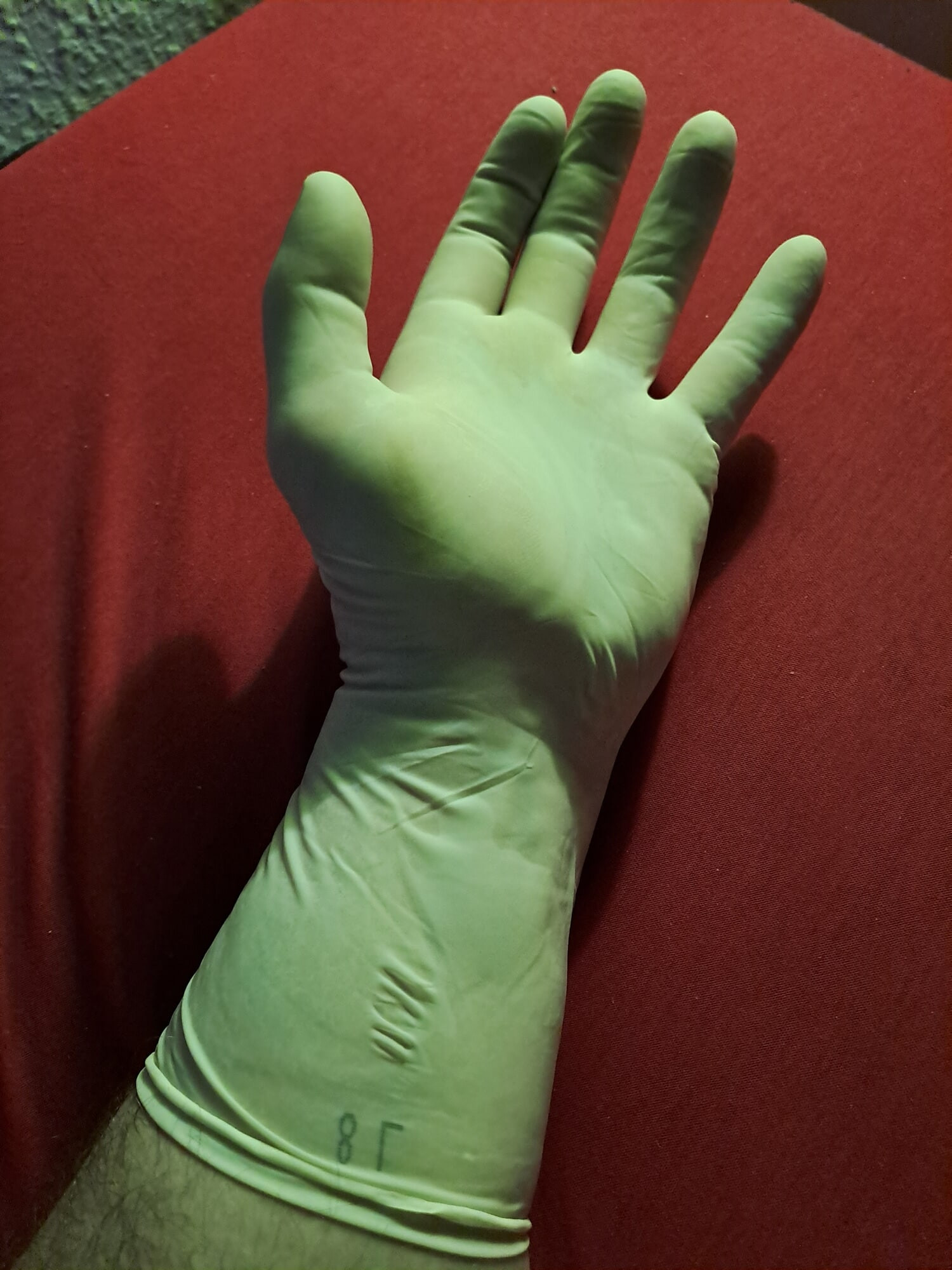 Latex Gloves  #10