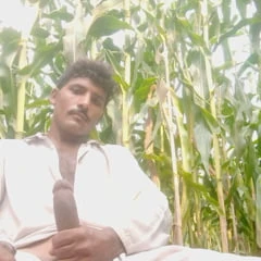 Gulzamin133 big dick