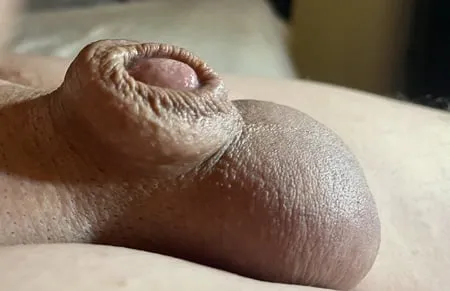 tiny micro cock my little one inch bitch dick         