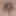 Oktober 7, 2024 Daily duty of the naked slave #6