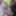 Doggy fucked - Cumshot into my open mouth