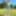 Near park in tight jeans, topless with white snickers on, to