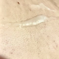 I made a mess thinking about my university professor
