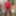 Sexy Crossdresser kellycd2022 in red bodysuit and stockings  #6