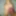 Hermaphrodildo!  A hermaphrodite pussy-ass-cock dildo!!