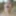 Beach fuck with face cum shower