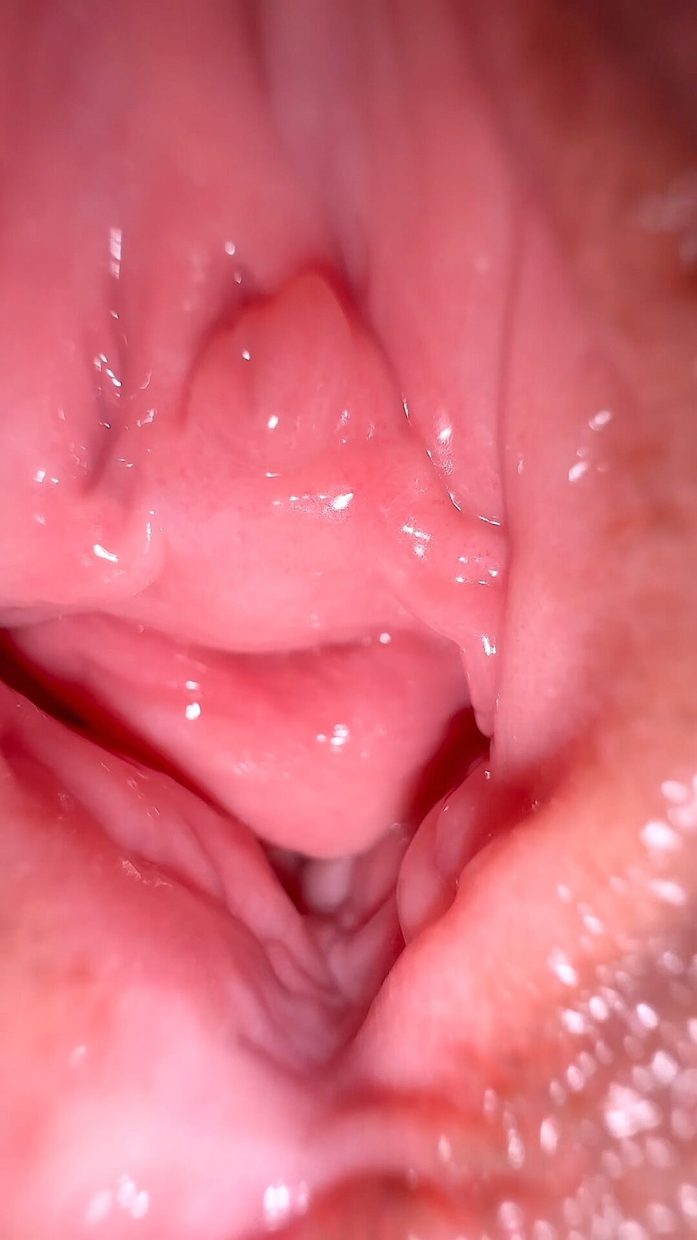 🧿EXTREME CLOSE UP: Prettiest face girl agreed for tight puss #33