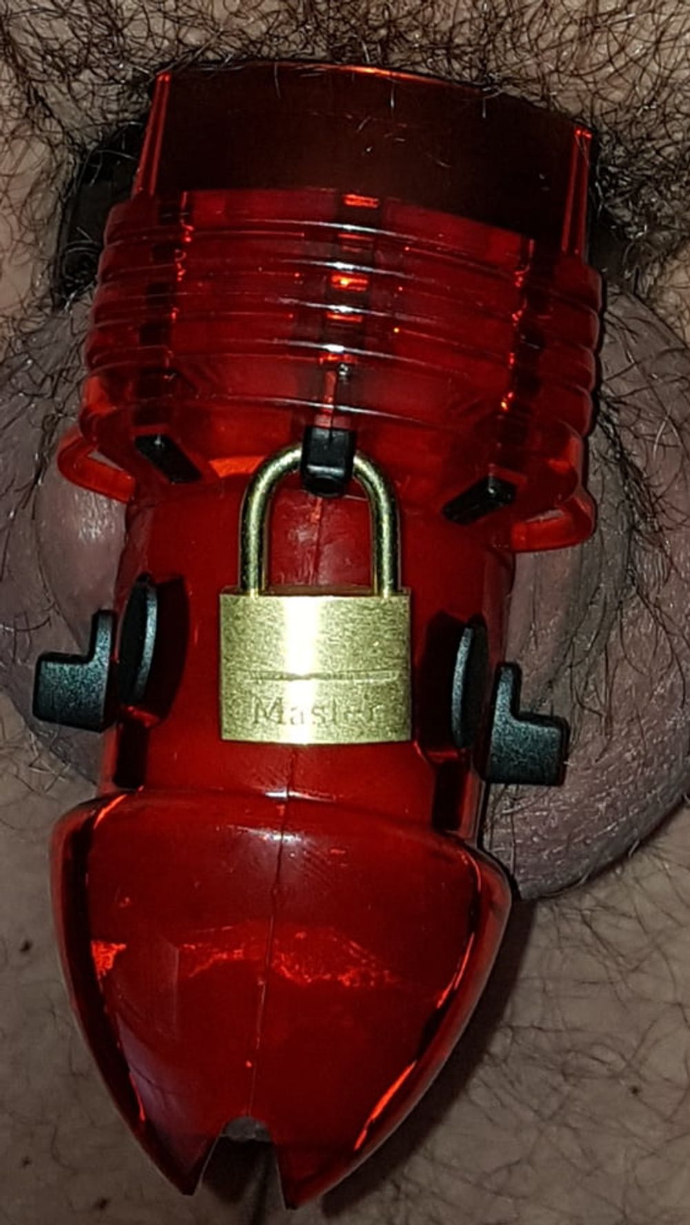 Chastity cage #7