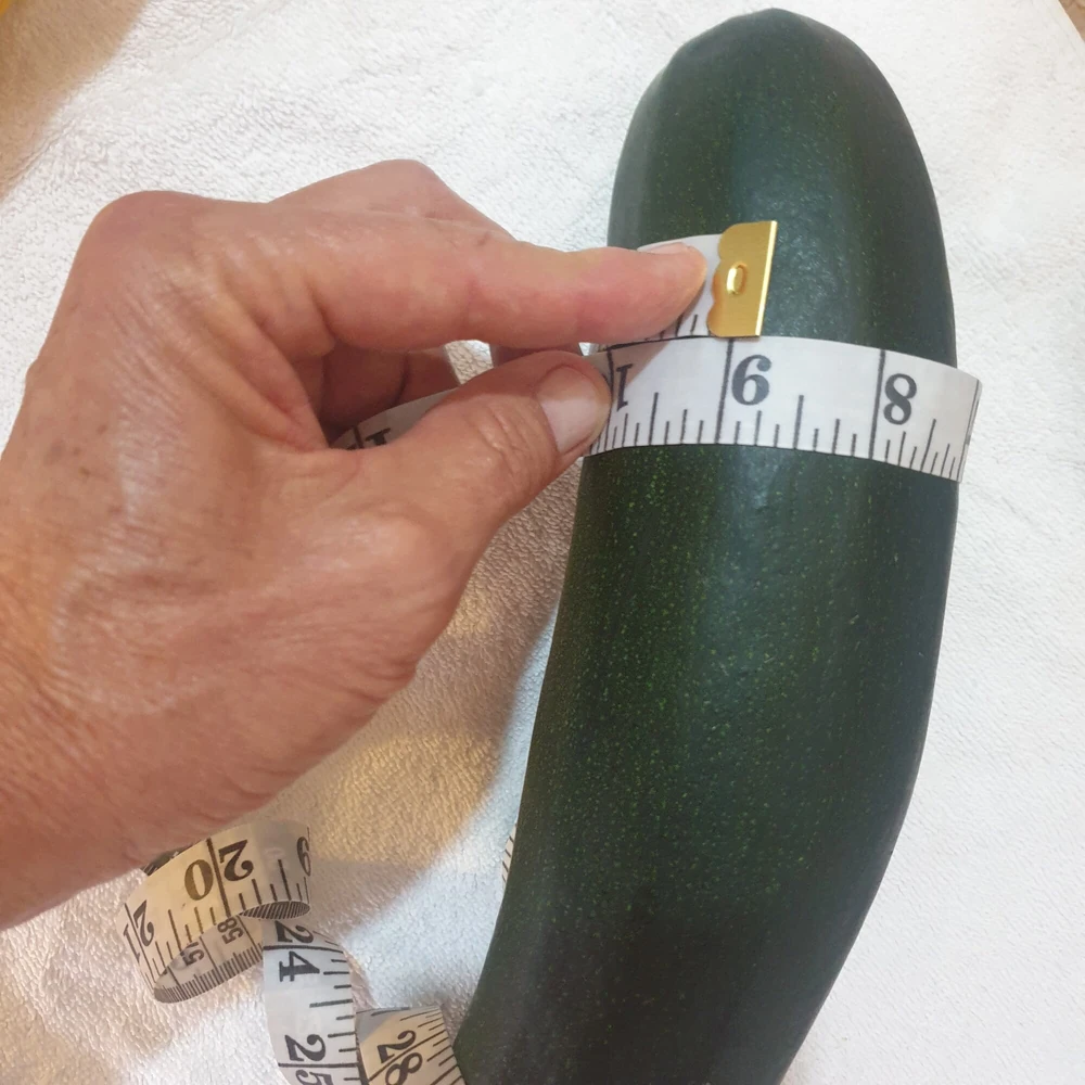 Big zucchini in my ass #2