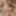 ONLY TARTS - Shock Content new scene PART 2 #27