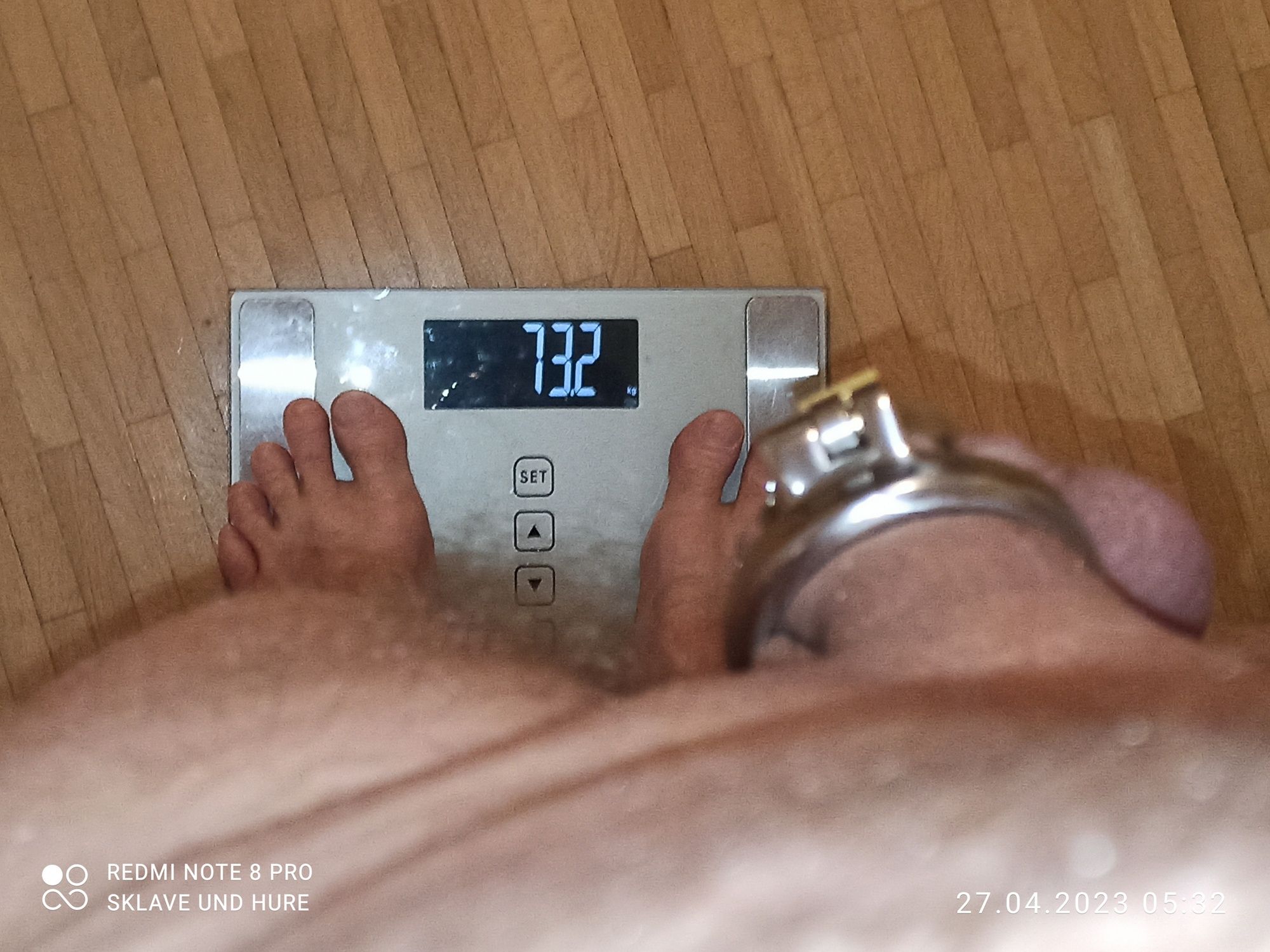 weighing cagecheck Plug 27.04.2023 #7