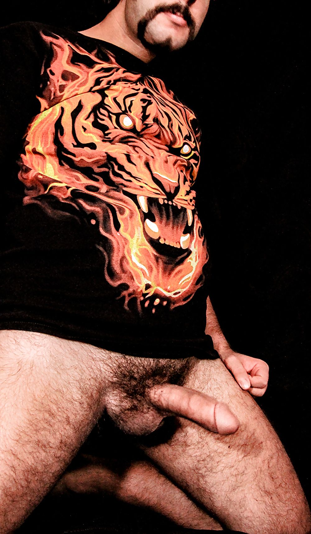 Fire Tiger Fire! #2