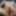 Big Condom Cumshot &amp; White Bikini #14