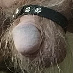 Cock exposed