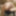 big dick slowmotion closup great cumshot #11
