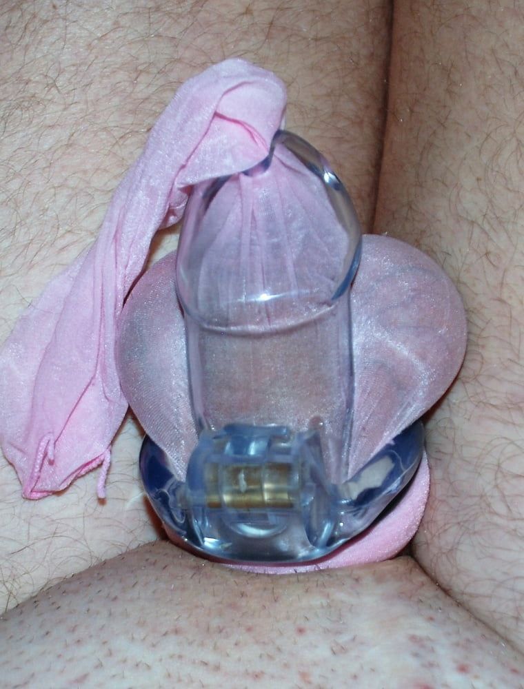 Nyln cock Cock cage #5