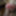 Some personal pictures