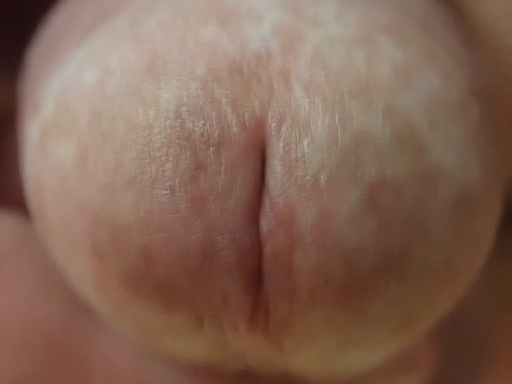 close up penis