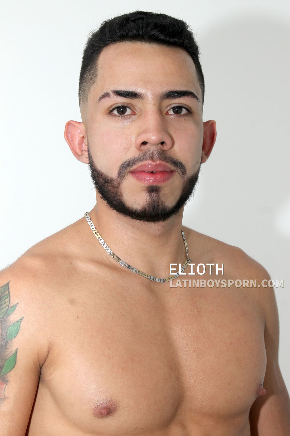 DICKS, COCKS, FUCKING BAREBACK, BIG COCK CUMMING #20