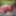 ElisyaHijabdoll Part 11 Masturbtion in the woods #5