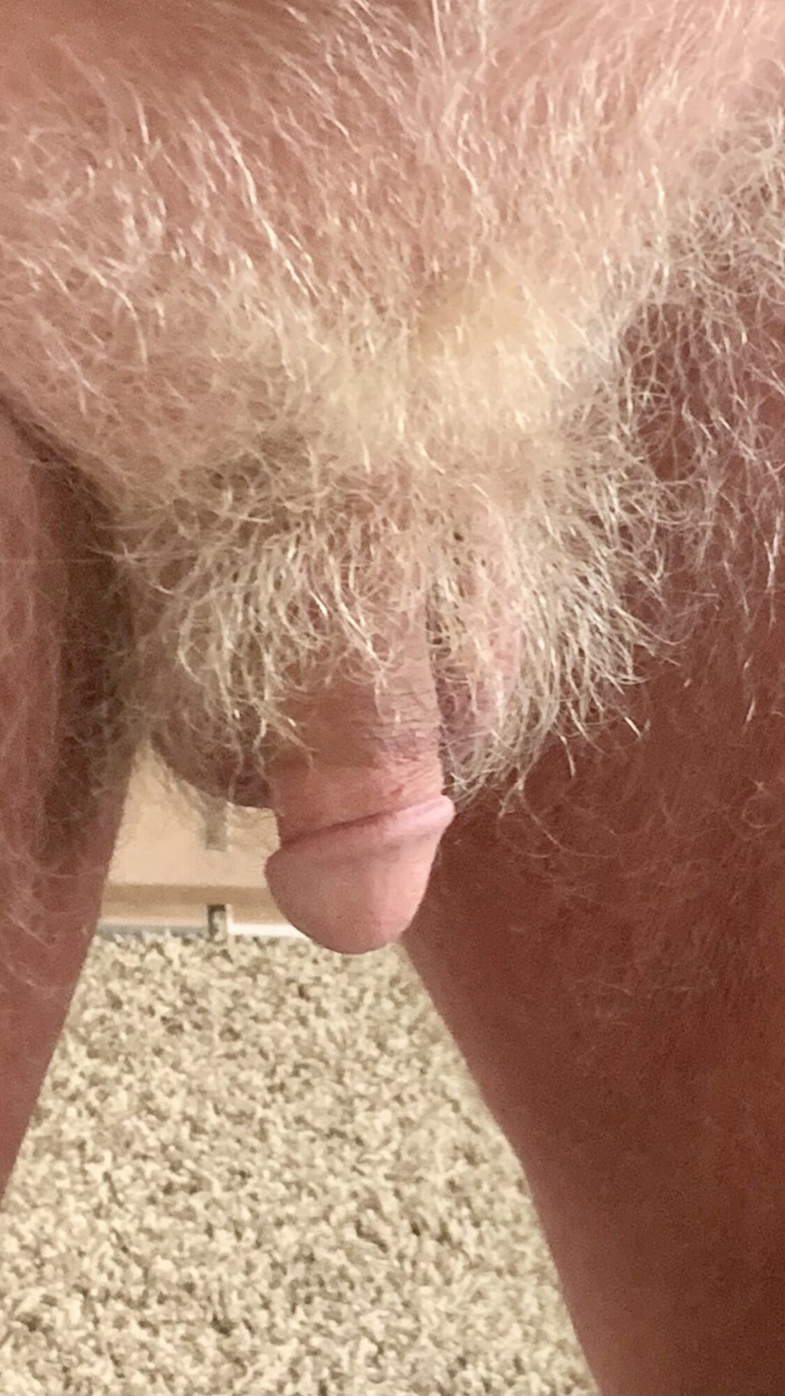 MY BLONDE HAIRED TAN COCK #6