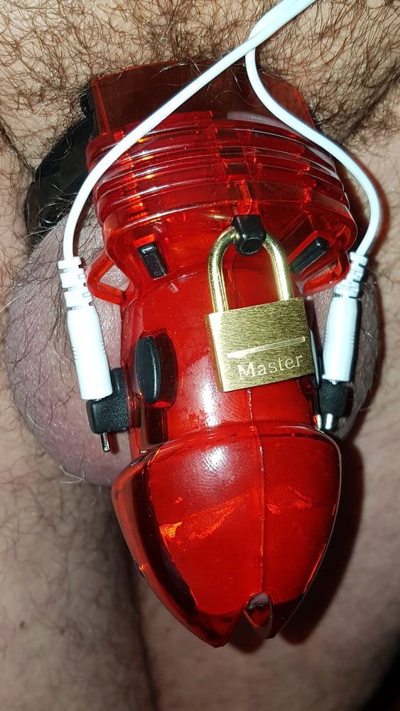 Chastity cage #15