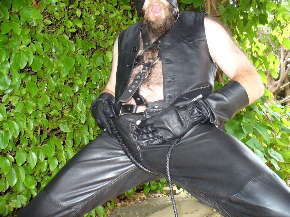 Leather Master outdoors in harness with whip #42