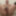 Mandatory weighing cagecheck plugcheck Oktober 23, 2023