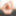 TGIRLS.XXX: Shiri Strips