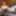 FEMOUT: Zina Doll Debuts!