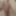 Gay boy ass and cock