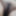 Asian pussy