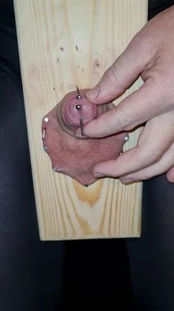 Tindik kontol 