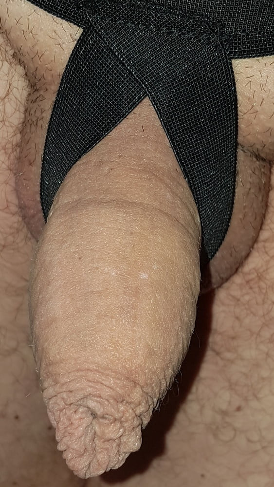 Shaved #28