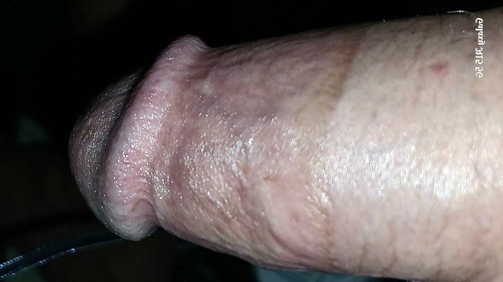 Twink cock 