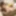 Rin Hinami :: Debut Vol.77 - CARIBBEANCOM #6