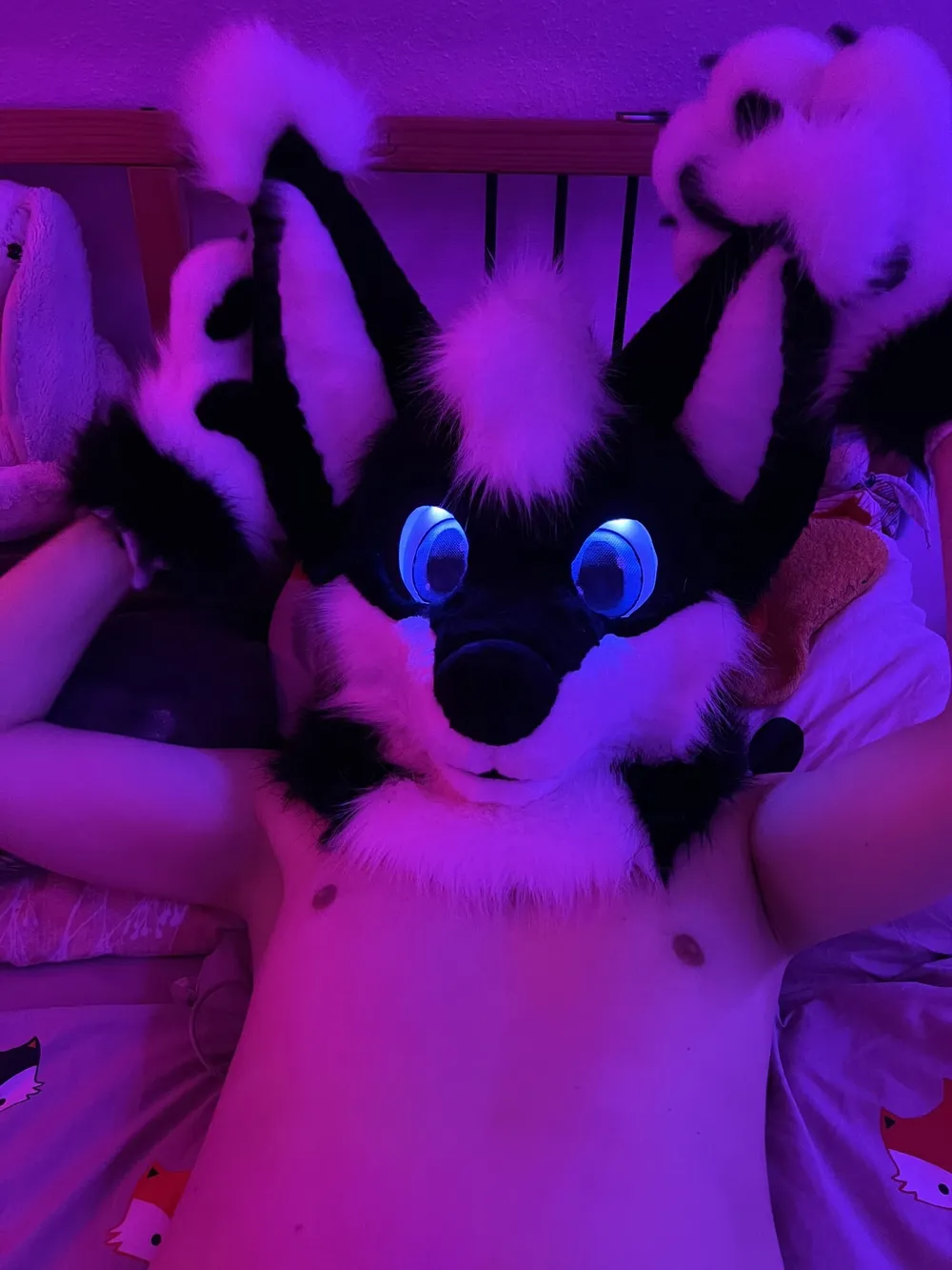 Fursuit-Rocky #2