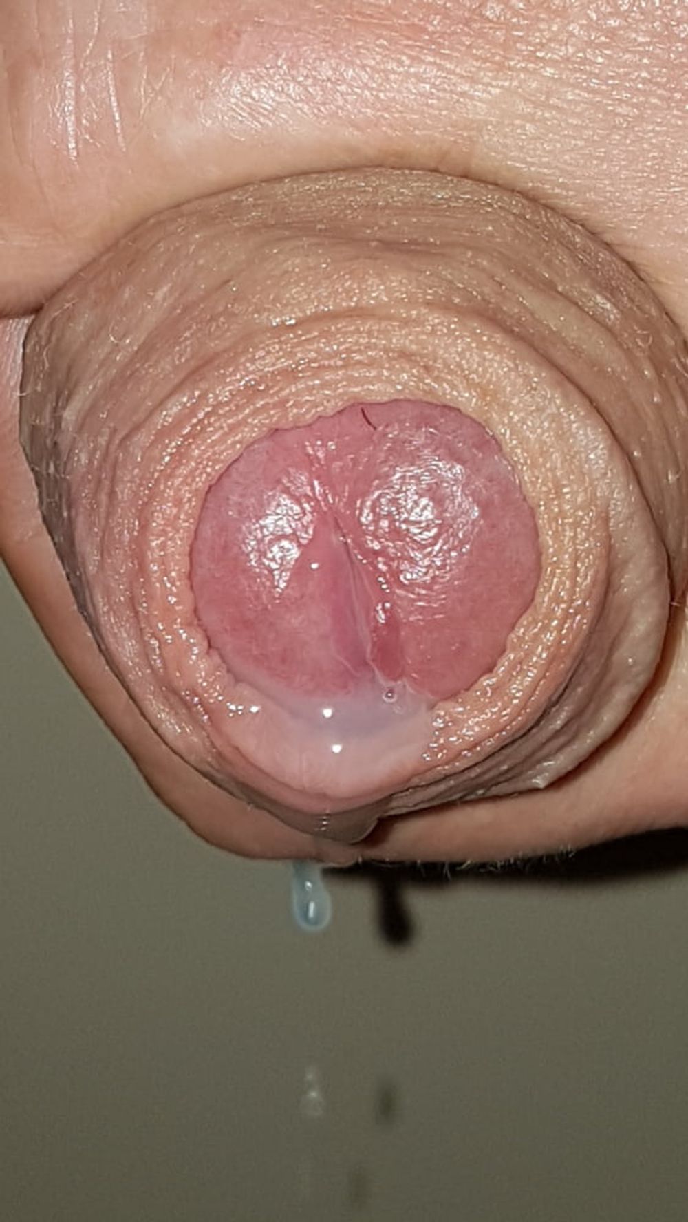 Precum and cum #60