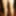 Pantyhose Tights Cock Bulge