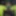 Pack 34:green stockings and lingerie