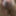Uncut cock and big balls in a tight, wrinkled up nut sack!!! #27