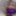 Violet Sissy Bimbo Harley Quinn Uniform Brandynette Aug 2019 #15