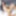 ASIANTGIRL: CANDY CUMS HARD!