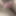 Desi girl boobs and hairy pussy pics 