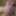 my new photos #18