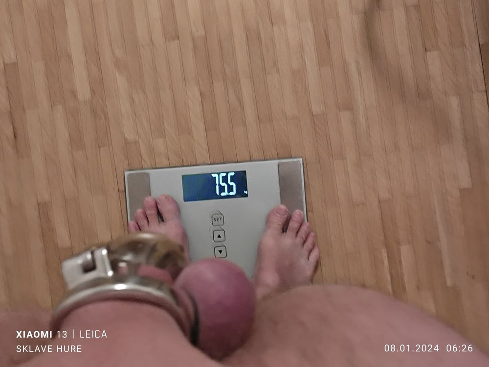 Mandatory weighing cagecheck plugcheck January 08, 2024 #3