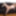 Swinger wife Elissen Sweet gets anal fucked by a black dick #11