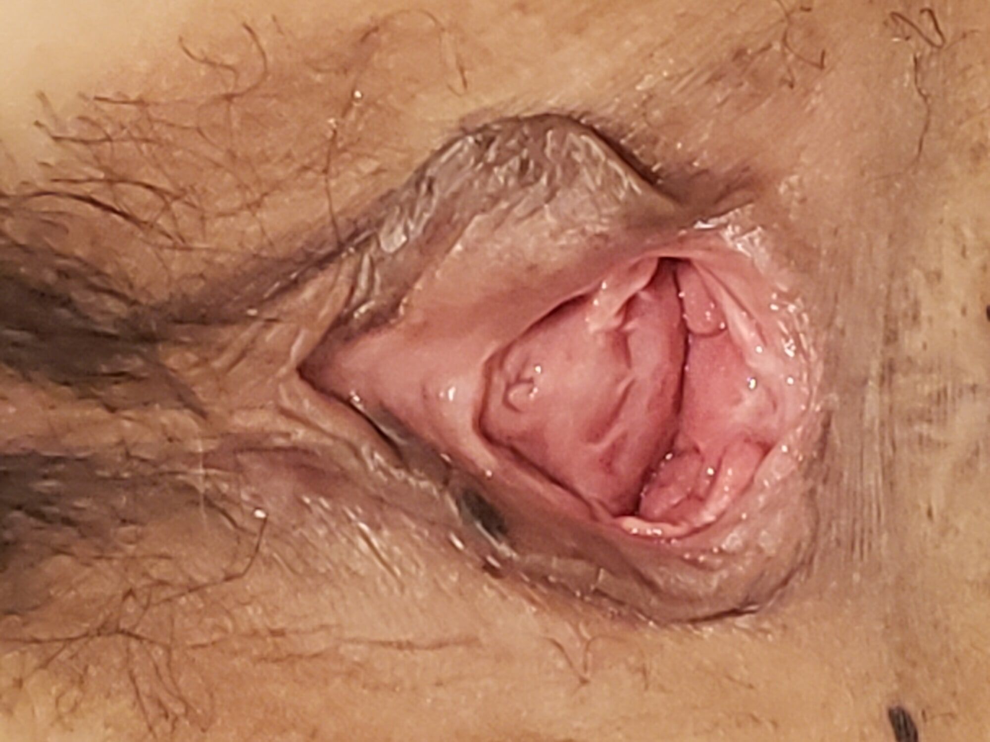 wife pussy close up