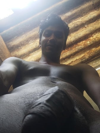 My big black indian cock in your face