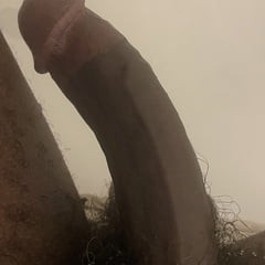 bbc
